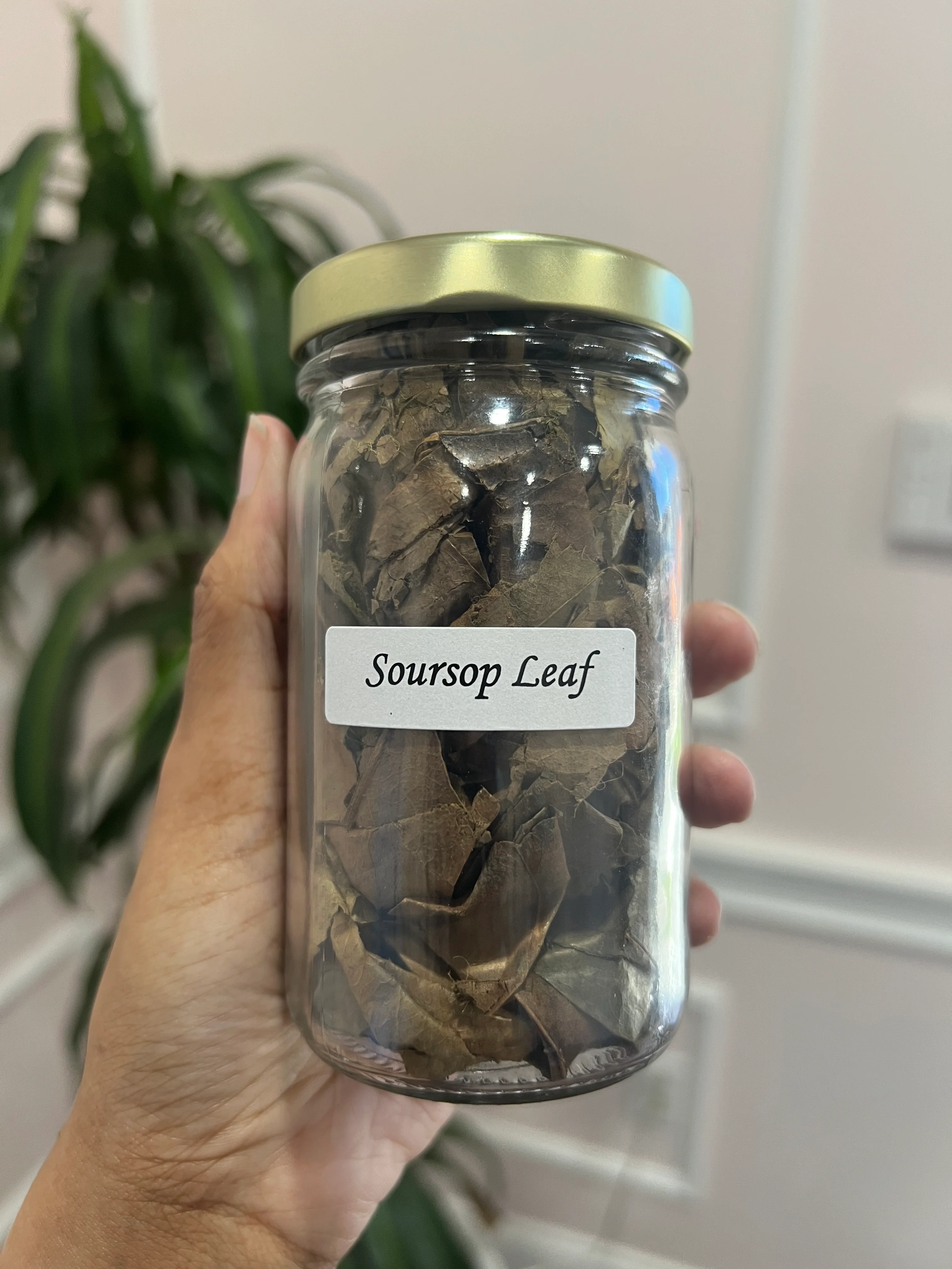 Soursop Leaf